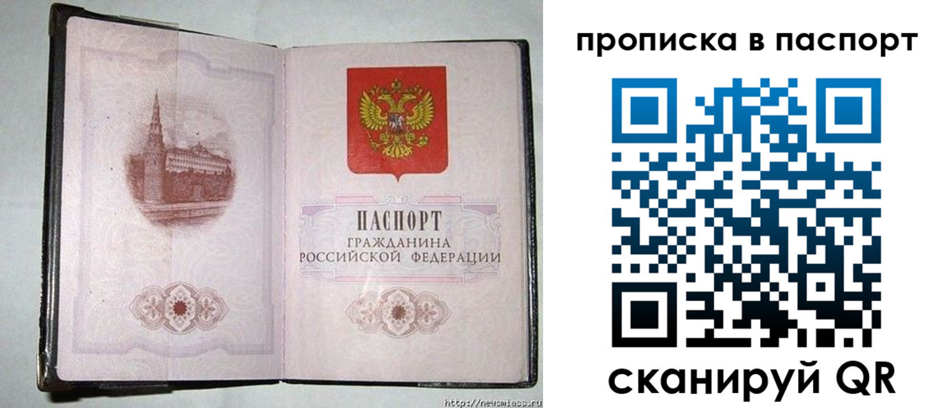 прописка штамп в Воронежской области